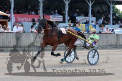 20260525_r05_050_R05_0125.jpg