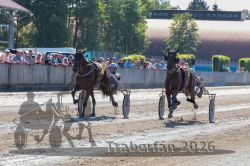 20260525_r09_080_R09_0192.jpg