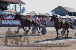 Dateiname=20260525_r09_087_R09_0206.jpg
Dateigröße=334KB
Abmessungen: 1000x667
hinzugefügt am: 27. Mai 2026 20260525_r09_087_R09_0206.jpg