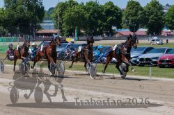 20260526_r02_061_R02_0142.jpg