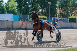 20260526_r05_031_R05_0133.jpg