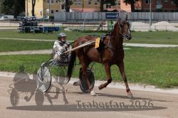 20260722_r04_011_R04_0041.jpg