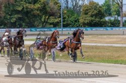 20260819_r01_048_R01_0103.jpg
