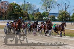 20260819_r03_093_R03_0186.jpg