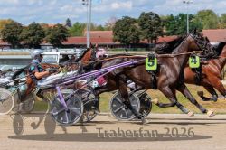 20260819_r05_051_R05_0099.jpg