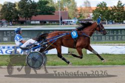 20260830_r09_018_R07_0035.jpg