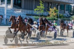 20260920_r02_077_R02_0209.jpg