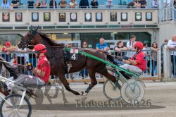 20260920_r06_046_R06_0106.jpg