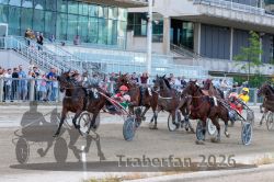 20260920_r08_122_R08_0268.jpg