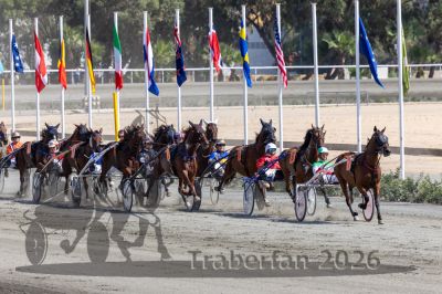20260927_r03_119_R03_0249.jpg