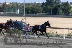 20260927_r04_096_R04_0176.jpg