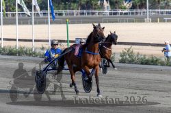 20260927_r08_012_R08_0019.jpg
