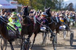 20261018_r02_100_R02_0222.jpg