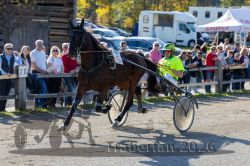 20261018_r06_037_R06_0090.jpg
