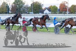 Dateiname=20261022_r01_078_R01_0187.jpg
Dateigröße=300KB
Abmessungen: 1000x667
hinzugefügt am: 23. Oktober 2026 20261022_r01_078_R01_0187.jpg