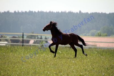 20120519_08_044.JPG