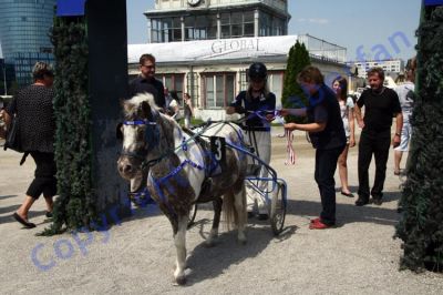 20120617_02mt_85.JPG
