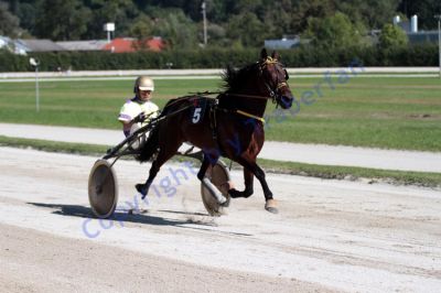 20120908_04_28.JPG