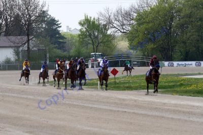 20140413_02b_33.JPG