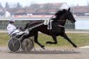 Dateiname=20150322_r01_33.jpg
Dateigröße=88KB
Abmessungen: 750x500
hinzugefügt am: 17. November 2016 20150322_r01_33.jpg