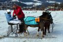 Dateiname=20160106_03_62.jpg
Dateigröße=127KB
Abmessungen: 750x500
hinzugefügt am: 15. Juli 2016 20160106_03_62.jpg
