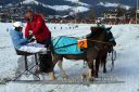 Dateiname=20160106_03_63.jpg
Dateigröße=127KB
Abmessungen: 750x500
hinzugefügt am: 15. Juli 2016 20160106_03_63.jpg
