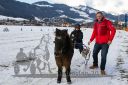 Dateiname=20160106_03_76.jpg
Dateigröße=120KB
Abmessungen: 750x500
hinzugefügt am: 15. Juli 2016 20160106_03_76.jpg