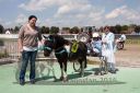 Dateiname=20160526_00ZMT_088.jpg
Dateigröße=118KB
Abmessungen: 750x500
hinzugefügt am: 27. Mai 2016 20160526_00ZMT_088.jpg