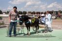Dateiname=20160526_00ZMT_092.jpg
Dateigröße=119KB
Abmessungen: 750x500
hinzugefügt am: 27. Mai 2016 20160526_00ZMT_092.jpg