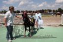 Dateiname=20160526_00ZMT_096.jpg
Dateigröße=115KB
Abmessungen: 750x500
hinzugefügt am: 27. Mai 2016 20160526_00ZMT_096.jpg