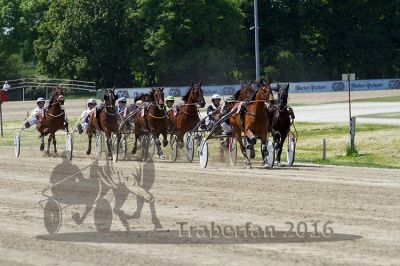20160526_R03_052.jpg