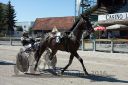Dateiname=20160827_r03_006.jpg
Dateigröße=126KB
Abmessungen: 750x500
hinzugefügt am: 28. August 2016 20160827_r03_006.jpg
