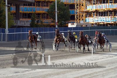 20161009_R03_062.jpg