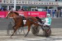 Dateiname=20161009_R03_051.jpg
Dateigröße=129KB
Abmessungen: 750x500
hinzugefügt am: 12. Oktober 2016 20161009_R03_051.jpg