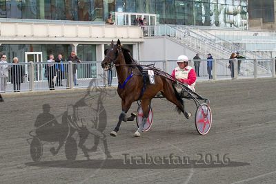 20161009_R04_012.jpg