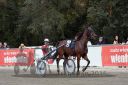 Dateiname=20161009_R04_092.jpg
Dateigröße=122KB
Abmessungen: 750x500
hinzugefügt am: 12. Oktober 2016 20161009_R04_092.jpg