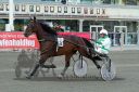 Dateiname=20161009_R08_025.jpg
Dateigröße=126KB
Abmessungen: 750x500
hinzugefügt am: 12. Oktober 2016 20161009_R08_025.jpg