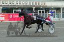 Dateiname=20161009_R09_031.jpg
Dateigröße=114KB
Abmessungen: 750x500
hinzugefügt am: 12. Oktober 2016 20161009_R09_031.jpg