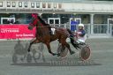 Dateiname=20161009_R09_036.jpg
Dateigröße=111KB
Abmessungen: 750x500
hinzugefügt am: 12. Oktober 2016 20161009_R09_036.jpg