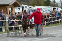 Dateiname=20131023_R06_044.jpg
Dateigröße=140KB
Abmessungen: 750x500
hinzugefügt am: 25. Oktober 2016 20131023_R06_044.jpg