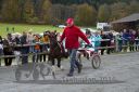 Dateiname=20131023_R06_049.jpg
Dateigröße=138KB
Abmessungen: 750x500
hinzugefügt am: 25. Oktober 2016 20131023_R06_049.jpg