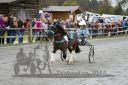 Dateiname=20131023_R06_056.jpg
Dateigröße=140KB
Abmessungen: 750x500
hinzugefügt am: 25. Oktober 2016 20131023_R06_056.jpg