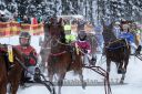 Dateiname=20170115_r08_060.jpg
Dateigröße=132KB
Abmessungen: 750x500
hinzugefügt am: 16. Januar 2017 20170115_r08_060.jpg