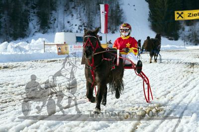 20170205_r04_001.jpg