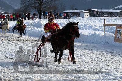 20170205_r04_070.jpg