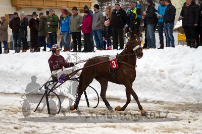 20170205_r07_003.jpg