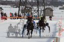 Dateiname=20170212_r04_084.jpg
Dateigröße=143KB
Abmessungen: 750x500
hinzugefügt am: 14. Februar 2017 20170212_r04_084.jpg