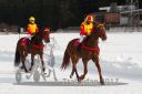 Dateiname=20170212_r05_001.jpg
Dateigröße=115KB
Abmessungen: 750x500
hinzugefügt am: 14. Februar 2017 20170212_r05_001.jpg