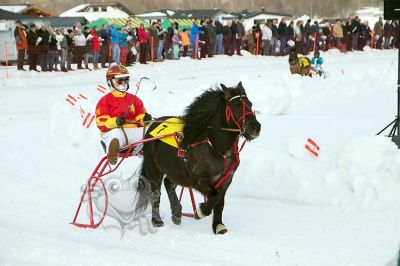 20170212_ja5_018.jpg