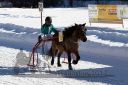 Dateiname=20170219_r03_048.jpg
Dateigröße=136KB
Abmessungen: 750x500
hinzugefügt am: 20. Februar 2017 20170219_r03_048.jpg